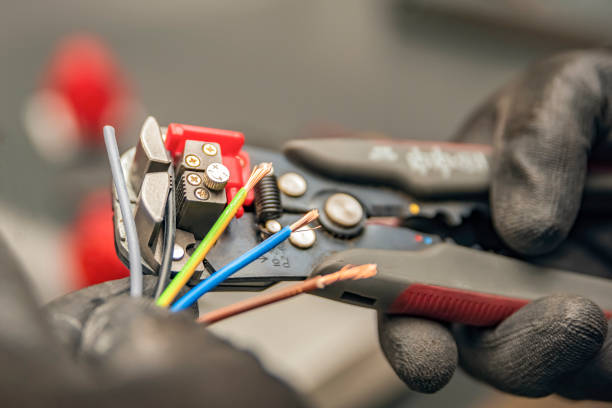 Best Electric Panel Repair  in Keshena, WI